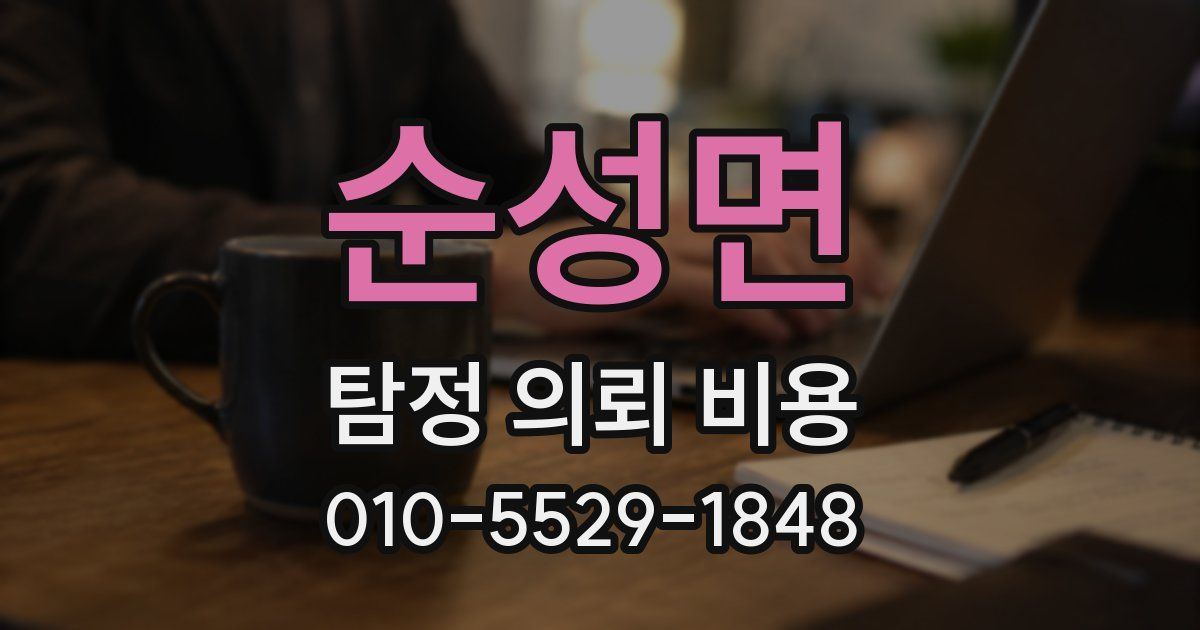 순성면 탐정 의뢰 비용