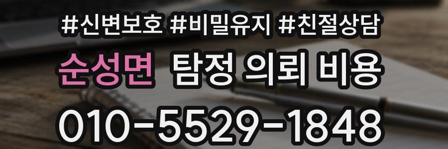순성면 탐정 의뢰 비용