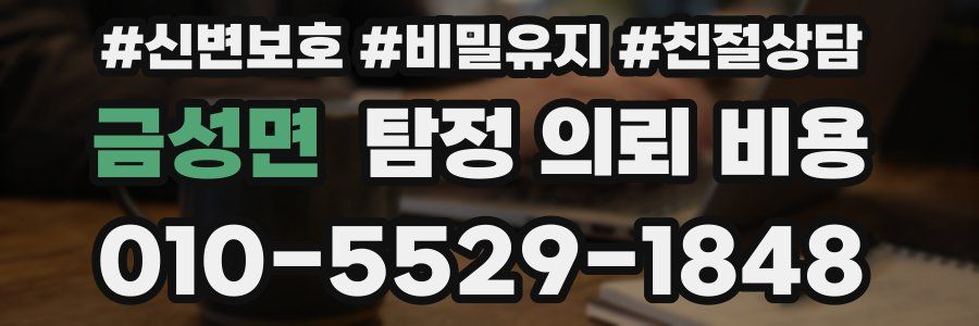금성면 탐정 의뢰 비용