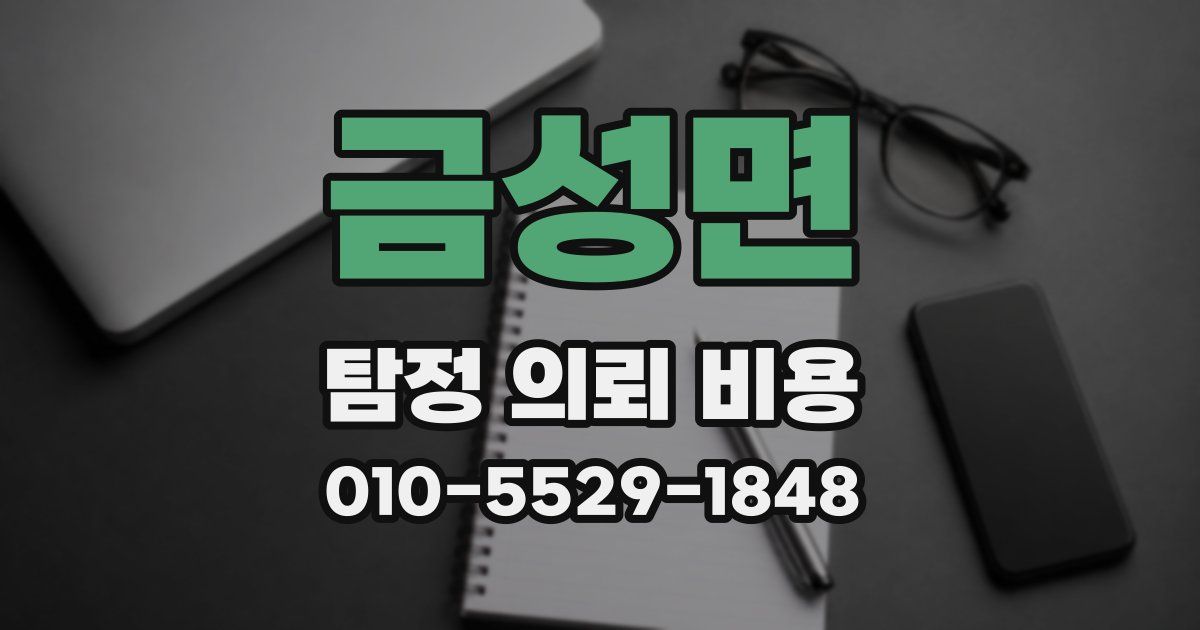 금성면 탐정 의뢰 비용