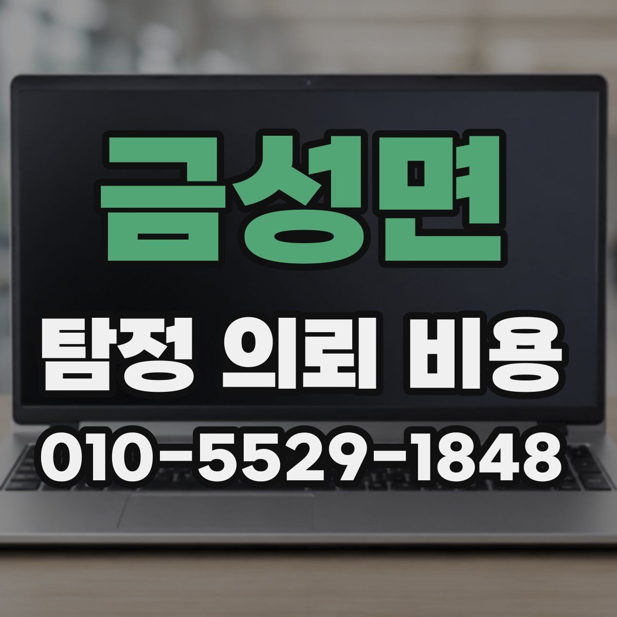 금성면 탐정 의뢰 비용