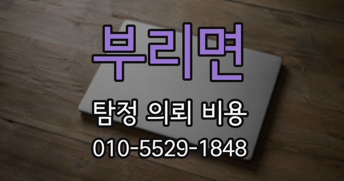 부리면 탐정 의뢰 비용
