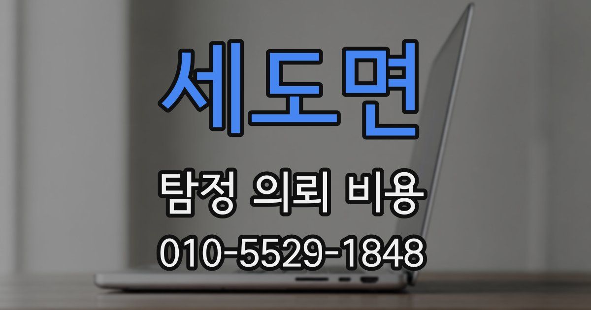 세도면 탐정 의뢰 비용
