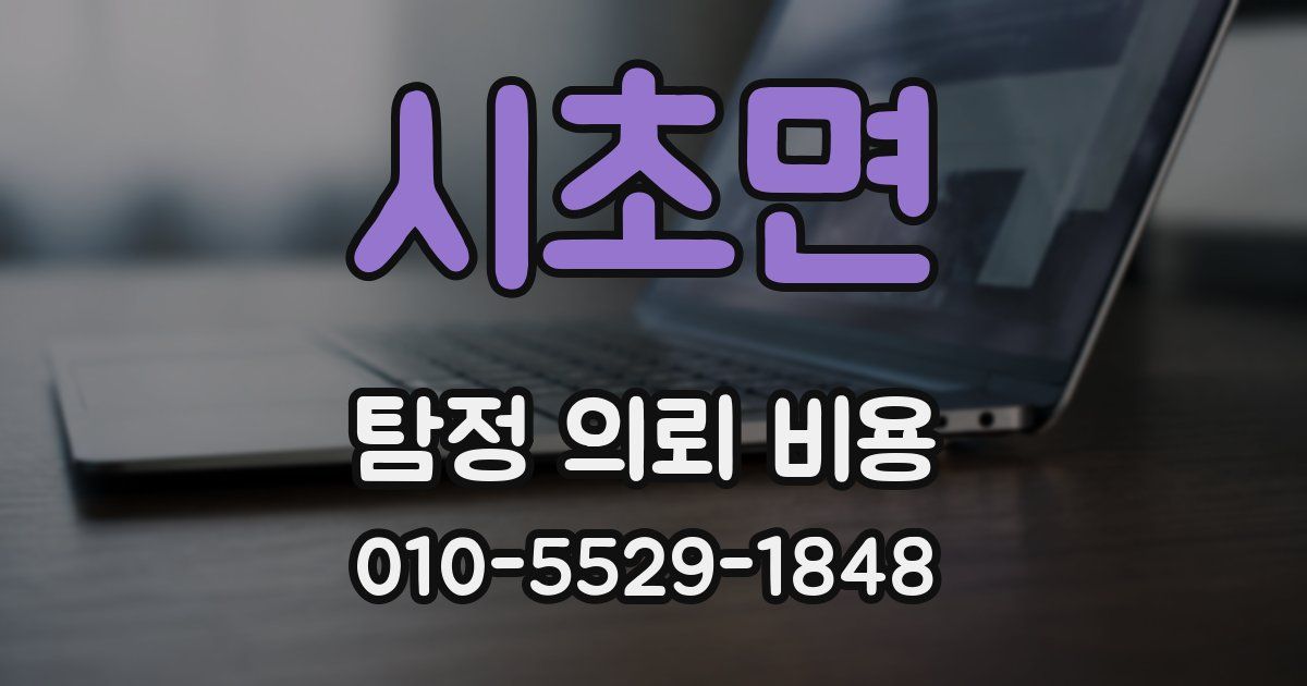 시초면 탐정 의뢰 비용