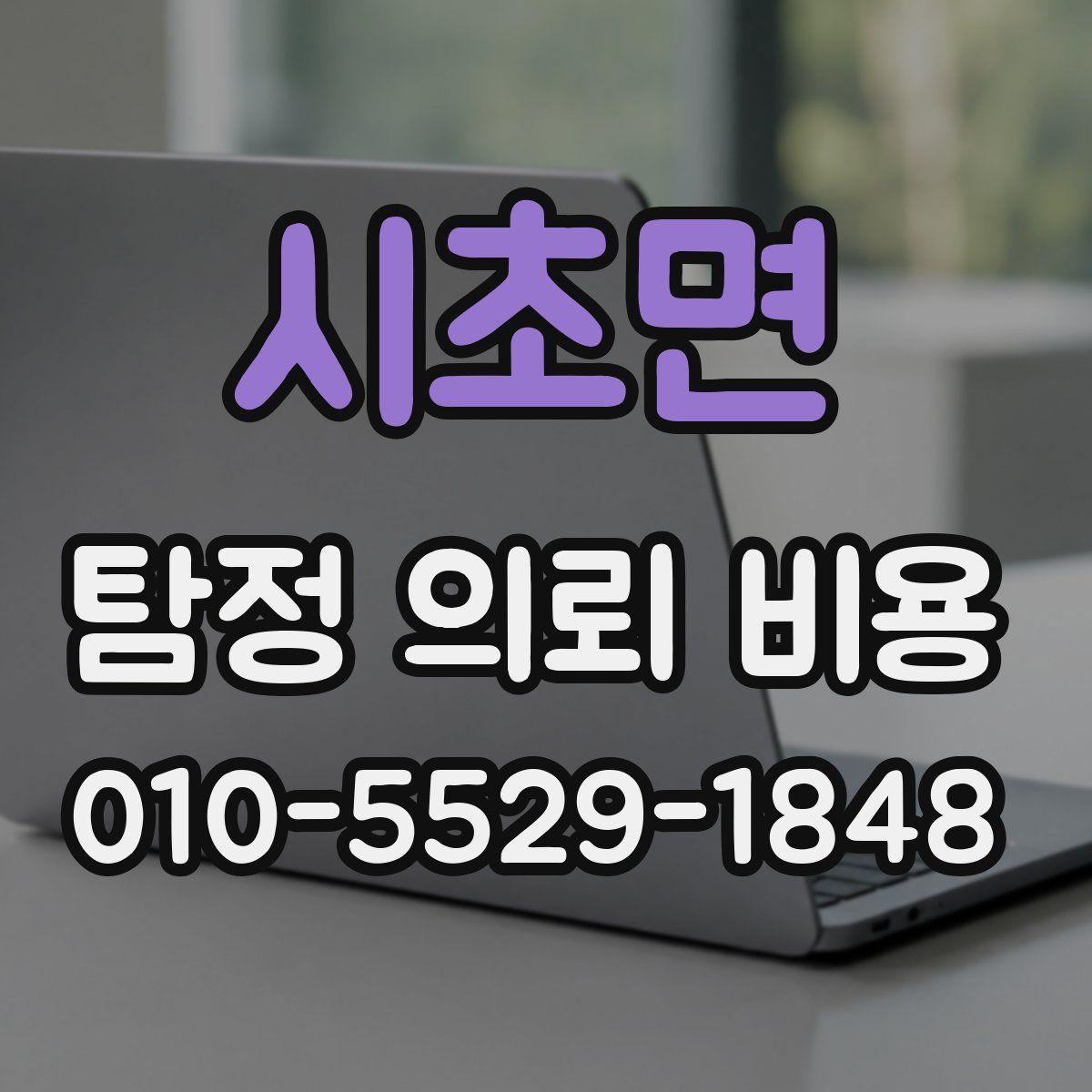 시초면 탐정 의뢰 비용