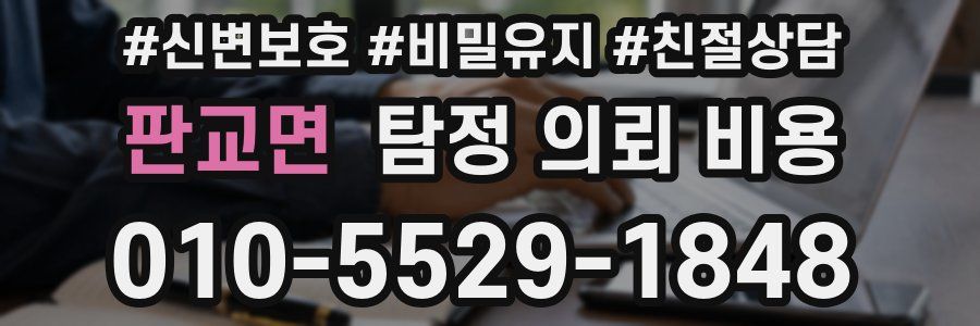 판교면 탐정 의뢰 비용