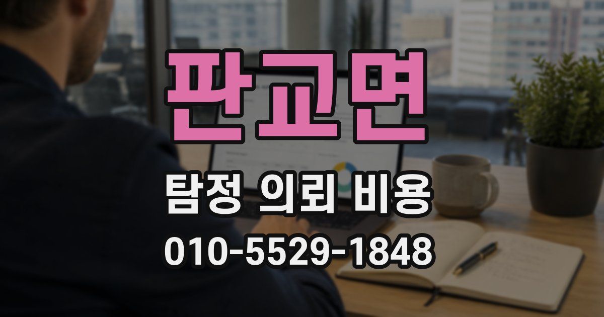 판교면 탐정 의뢰 비용