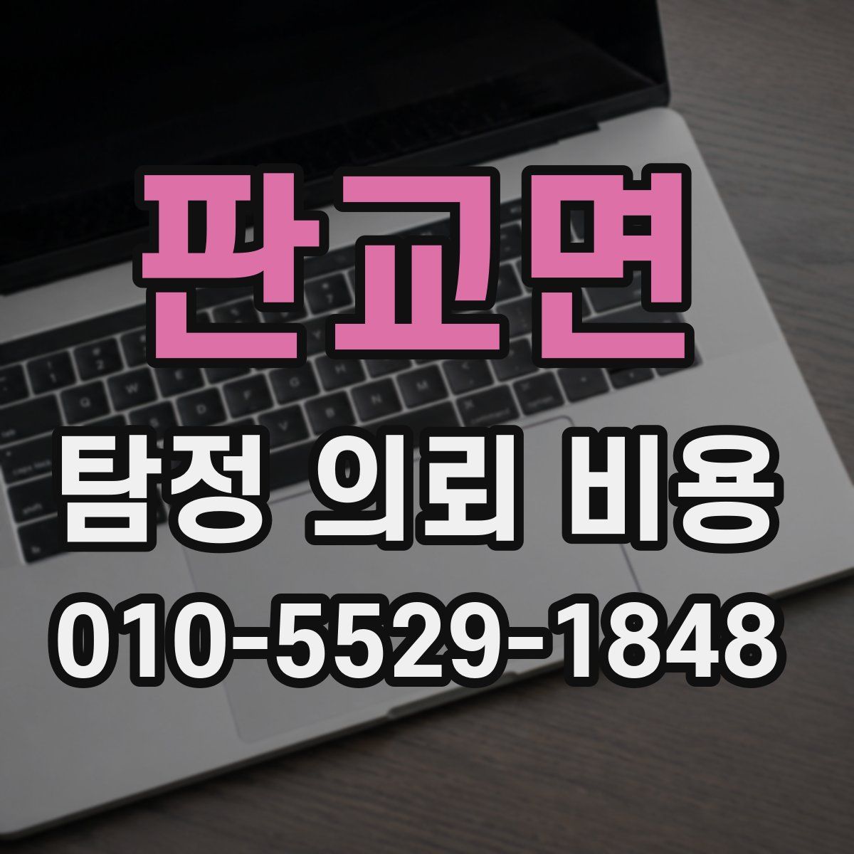 판교면 탐정 의뢰 비용