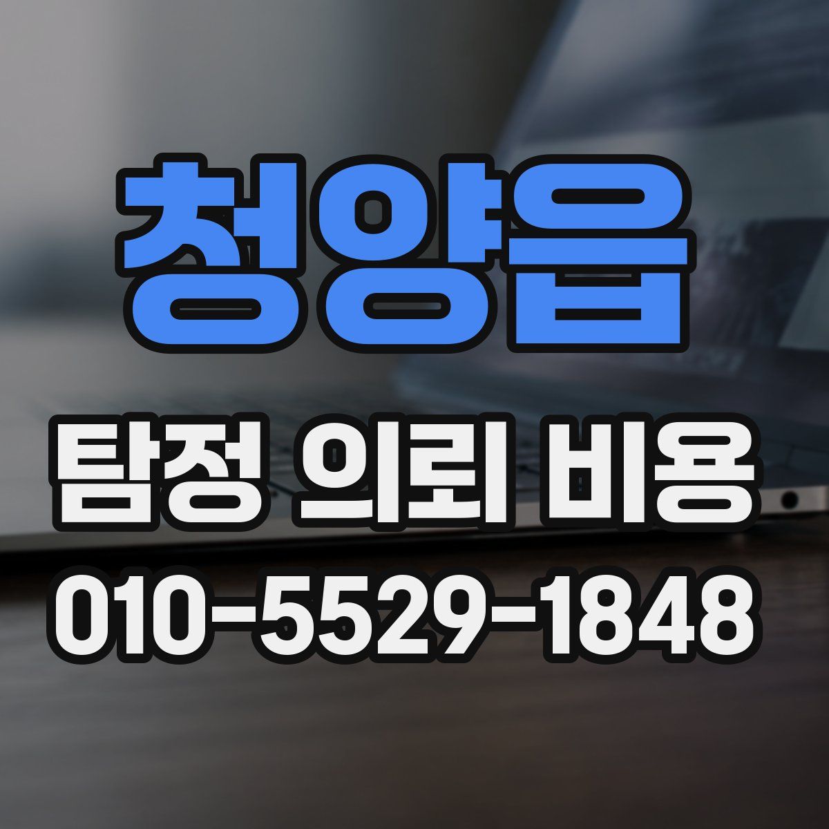 청양읍 탐정 의뢰 비용