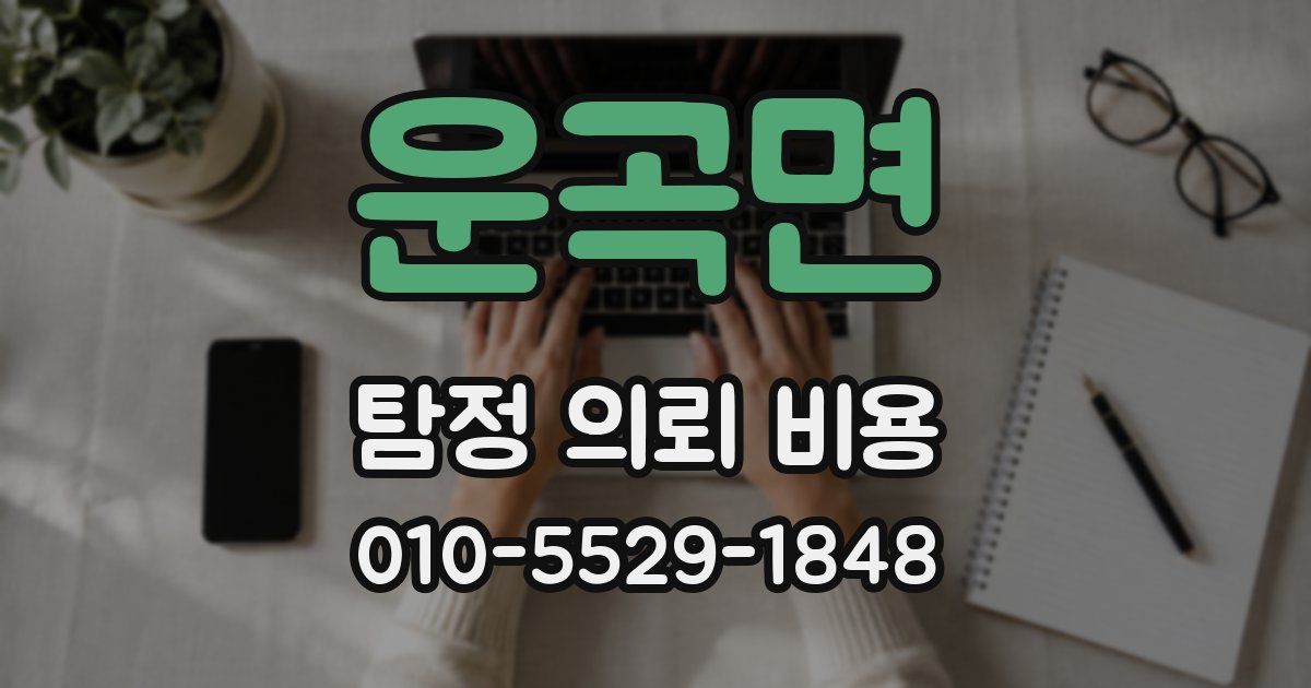 운곡면 탐정 의뢰 비용