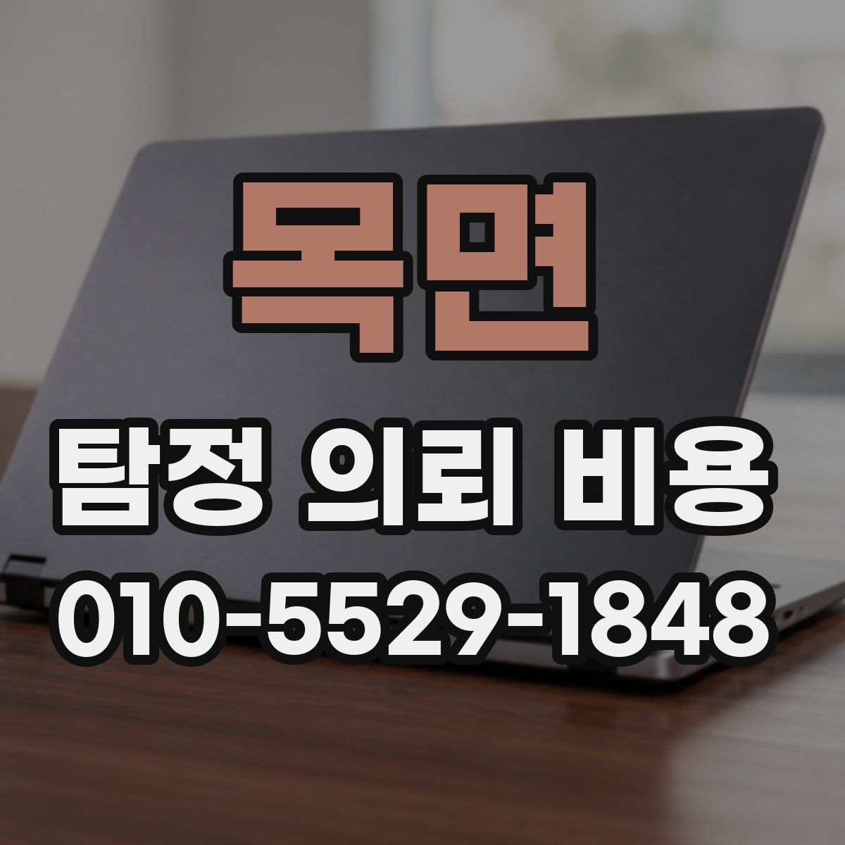 목면 탐정 의뢰 비용