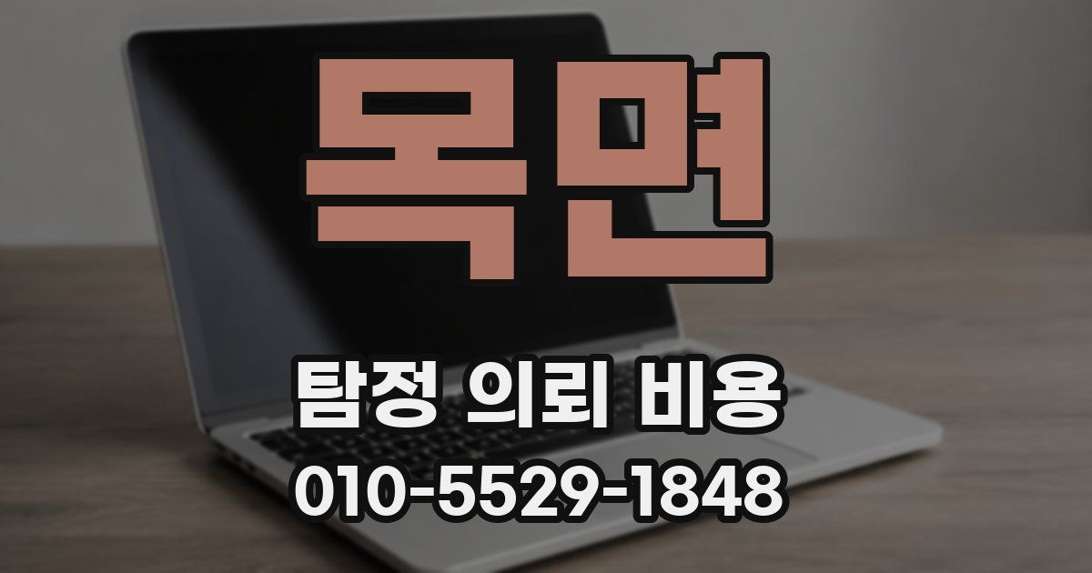 목면 탐정 의뢰 비용