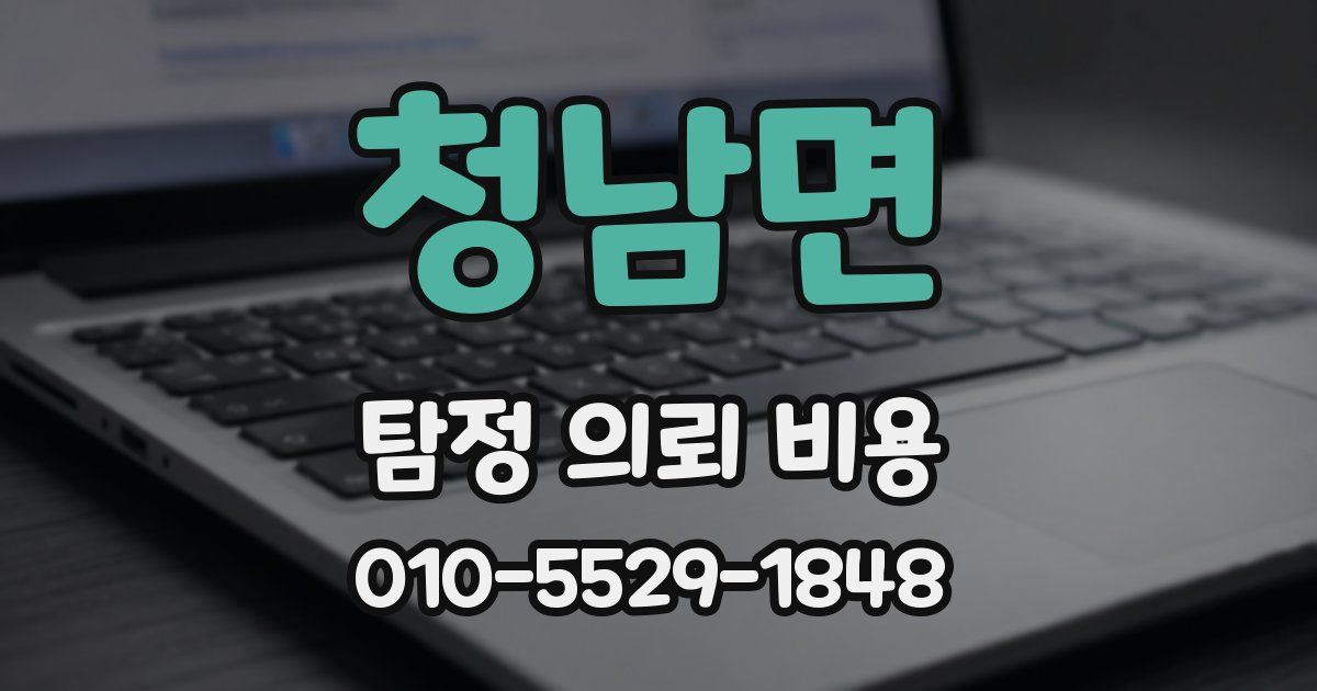 청남면 탐정 의뢰 비용