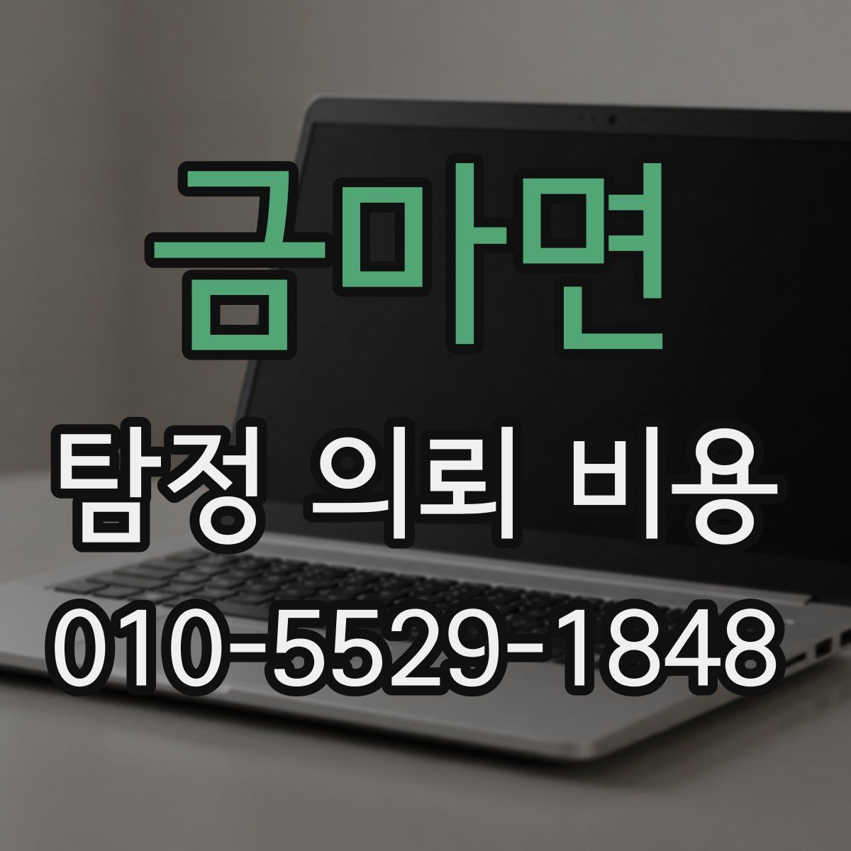 금마면 탐정 의뢰 비용