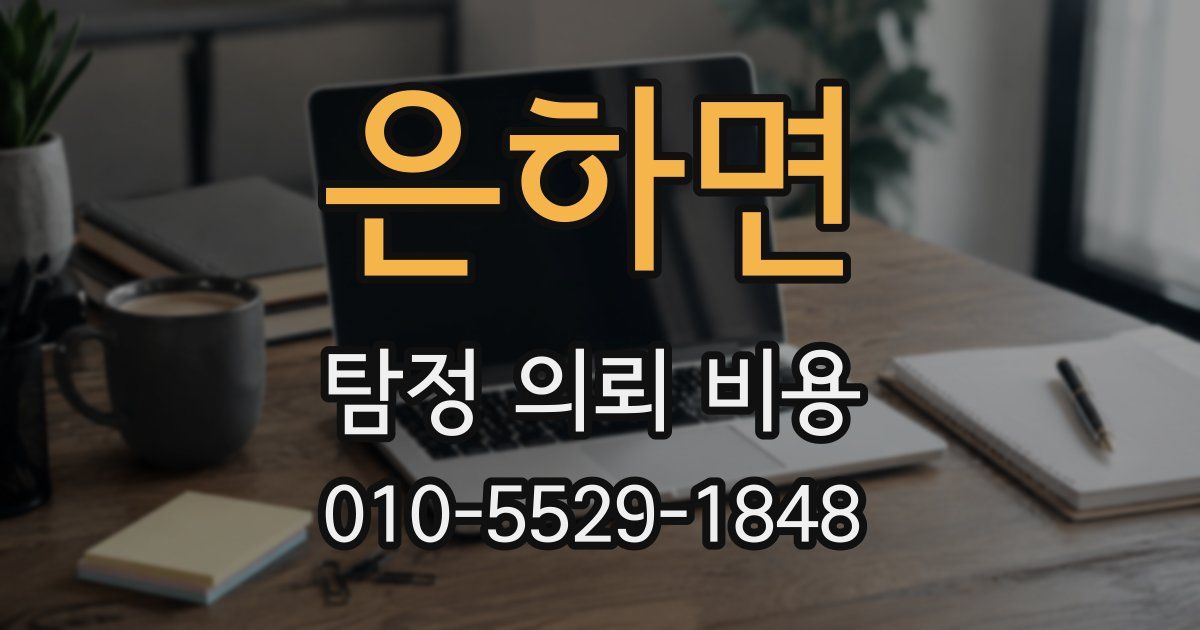 은하면 탐정 의뢰 비용