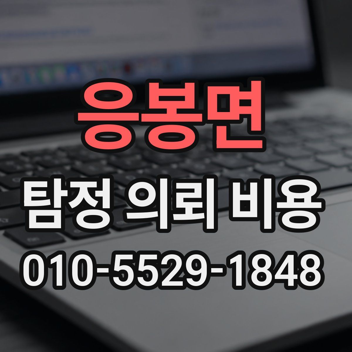 응봉면 탐정 의뢰 비용