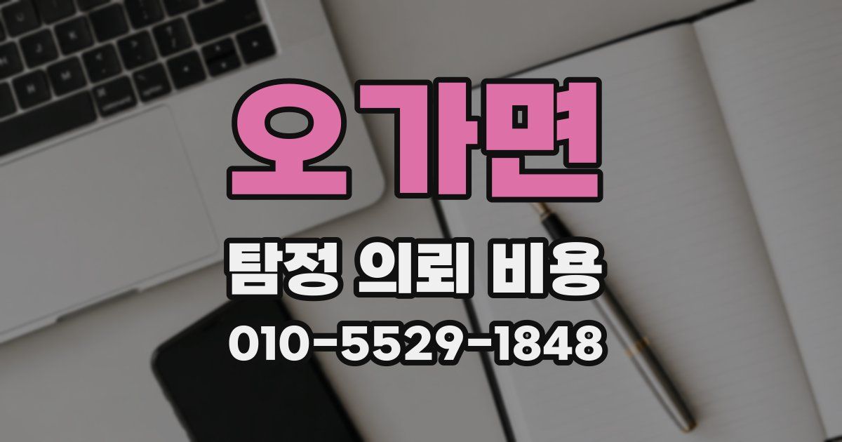 오가면 탐정 의뢰 비용