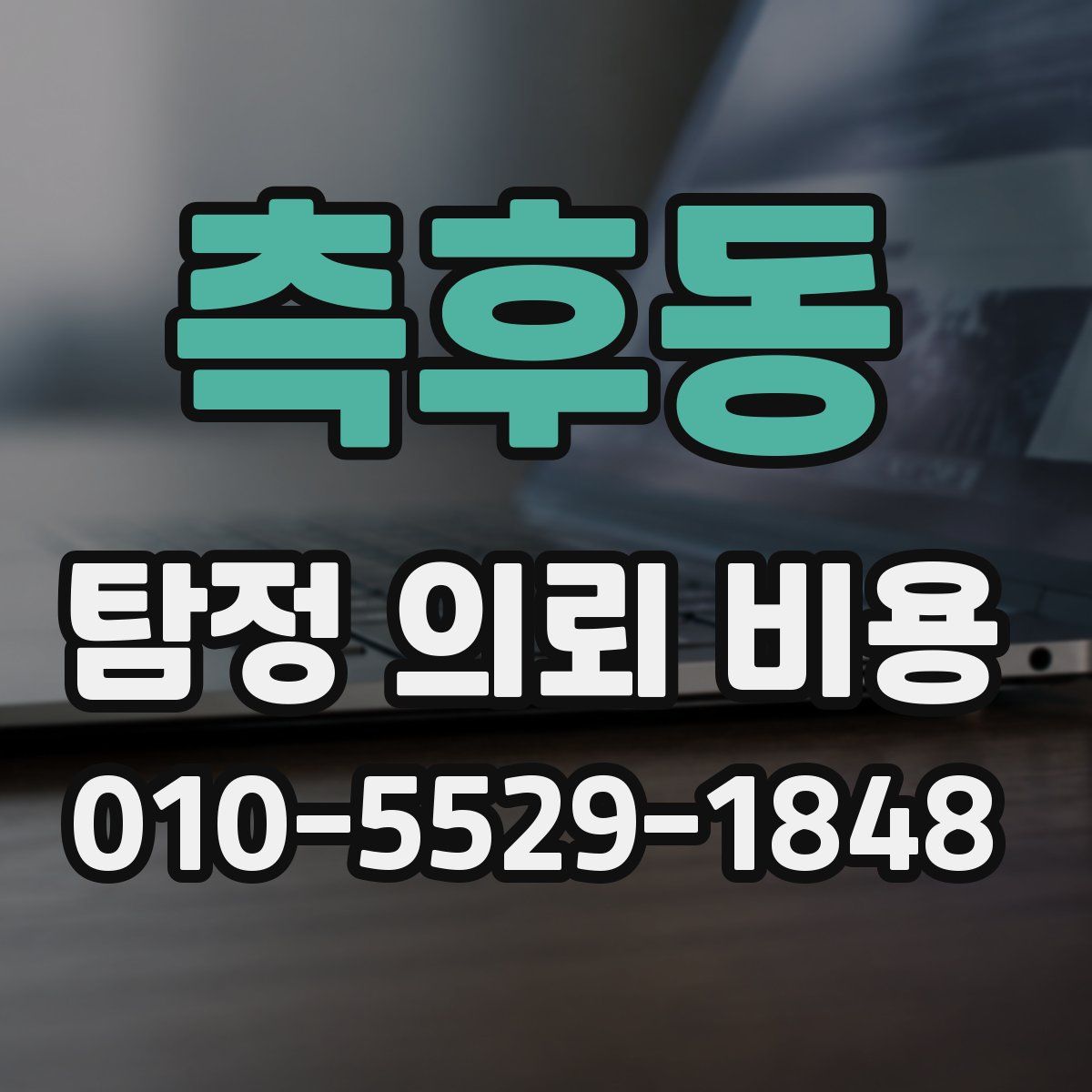 측후동 탐정 의뢰 비용