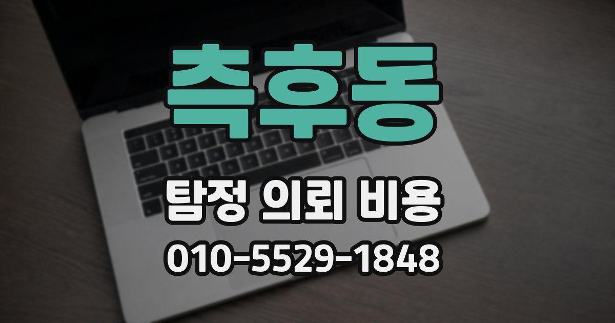 측후동 탐정 의뢰 비용