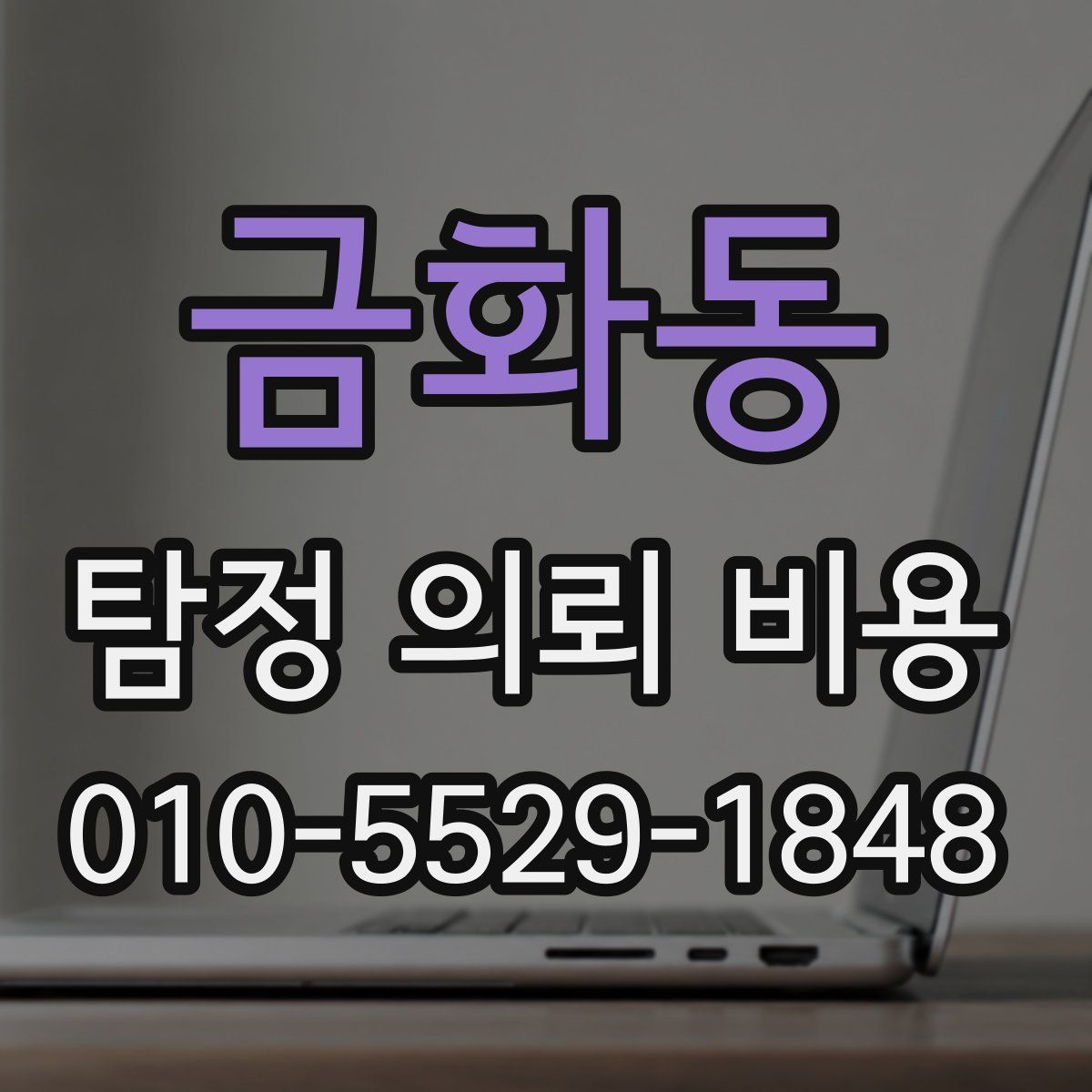 금화동 탐정 의뢰 비용