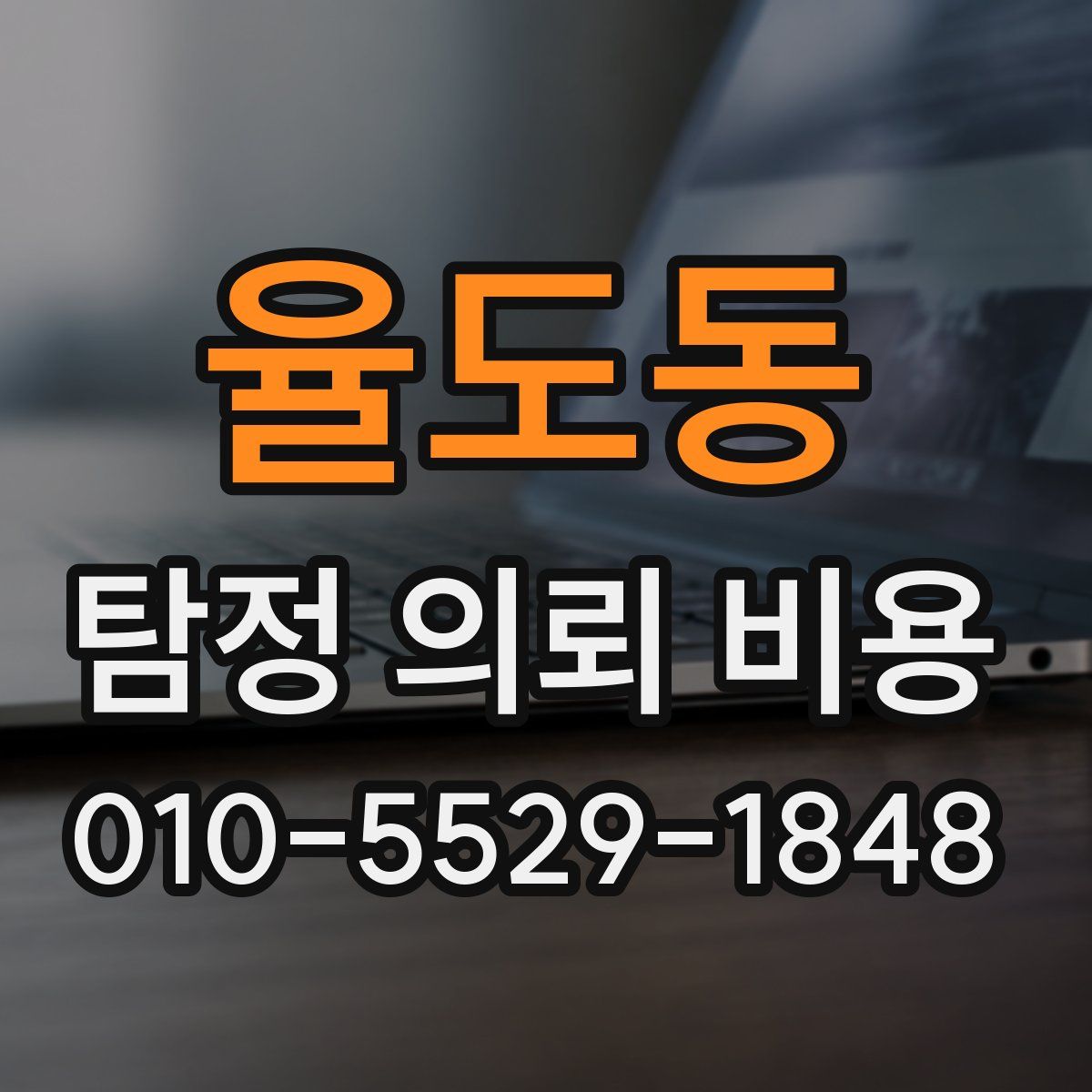 율도동 탐정 의뢰 비용