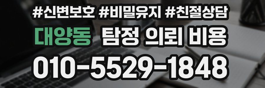 대양동 탐정 의뢰 비용
