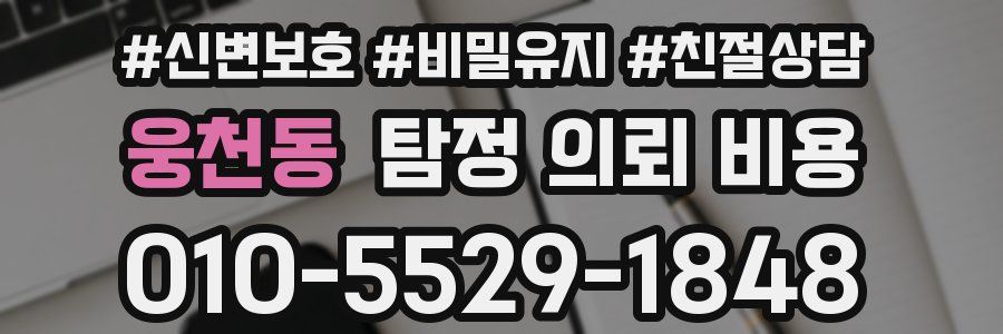 웅천동 탐정 의뢰 비용
