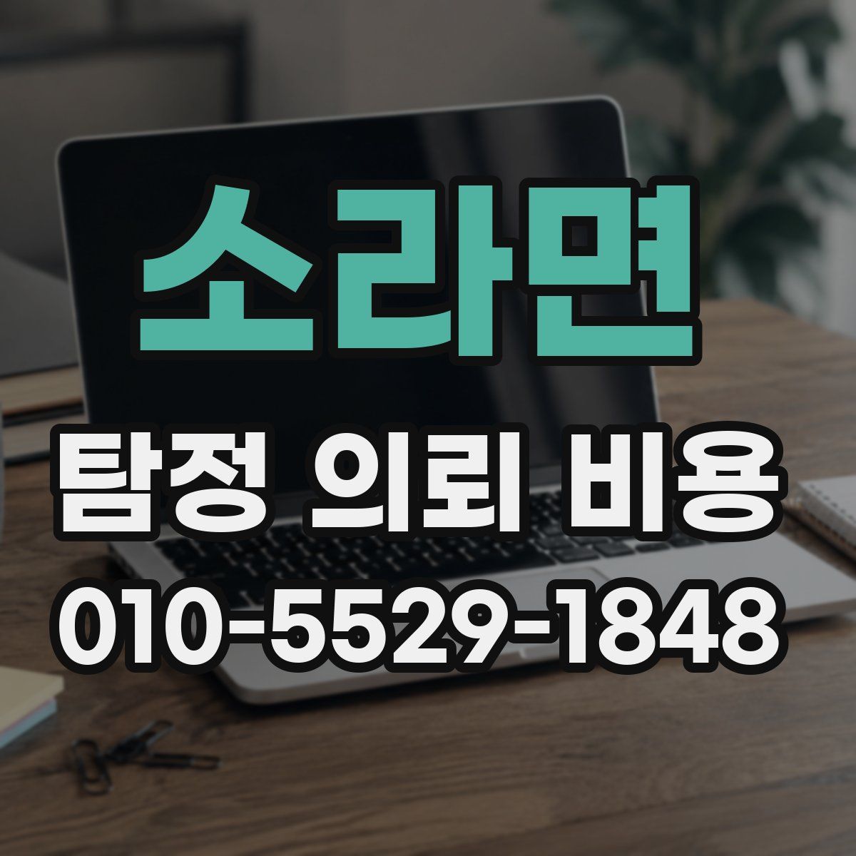 소라면 탐정 의뢰 비용