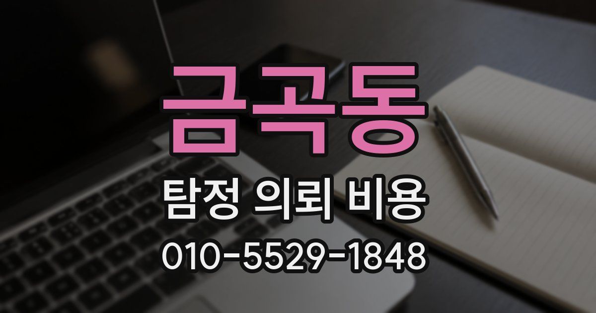 금곡동 탐정 의뢰 비용