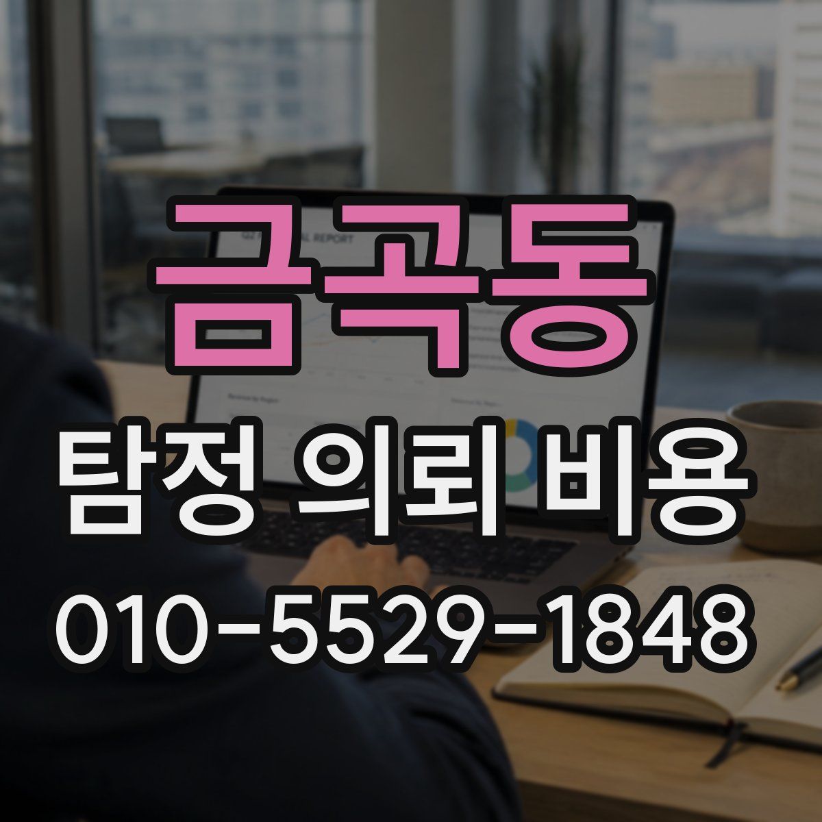 금곡동 탐정 의뢰 비용