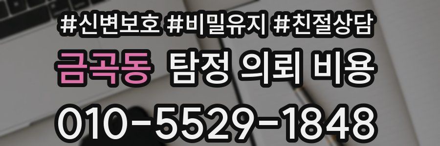 금곡동 탐정 의뢰 비용
