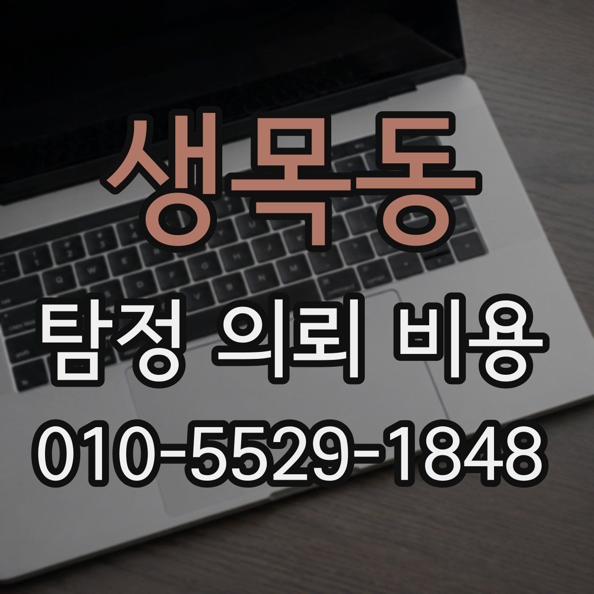 생목동 탐정 의뢰 비용 선택 전에 살펴볼 서비스 내용