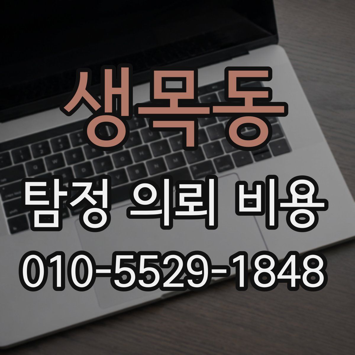 생목동 탐정 의뢰 비용