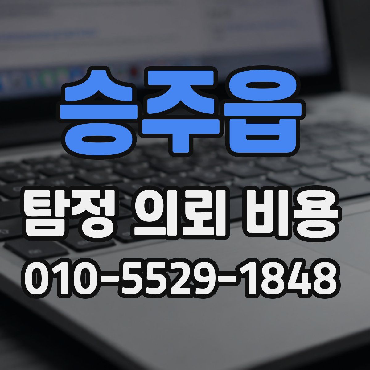 승주읍 탐정 의뢰 비용
