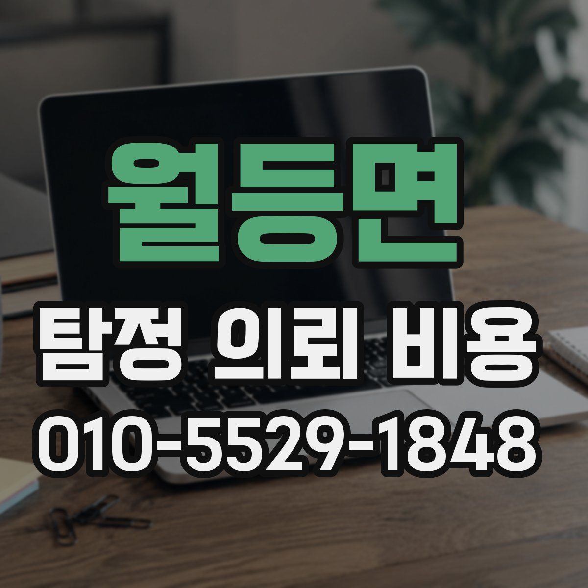 월등면 탐정 의뢰 비용