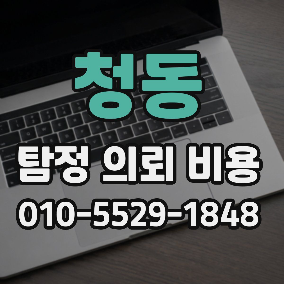 청동 탐정 의뢰 비용