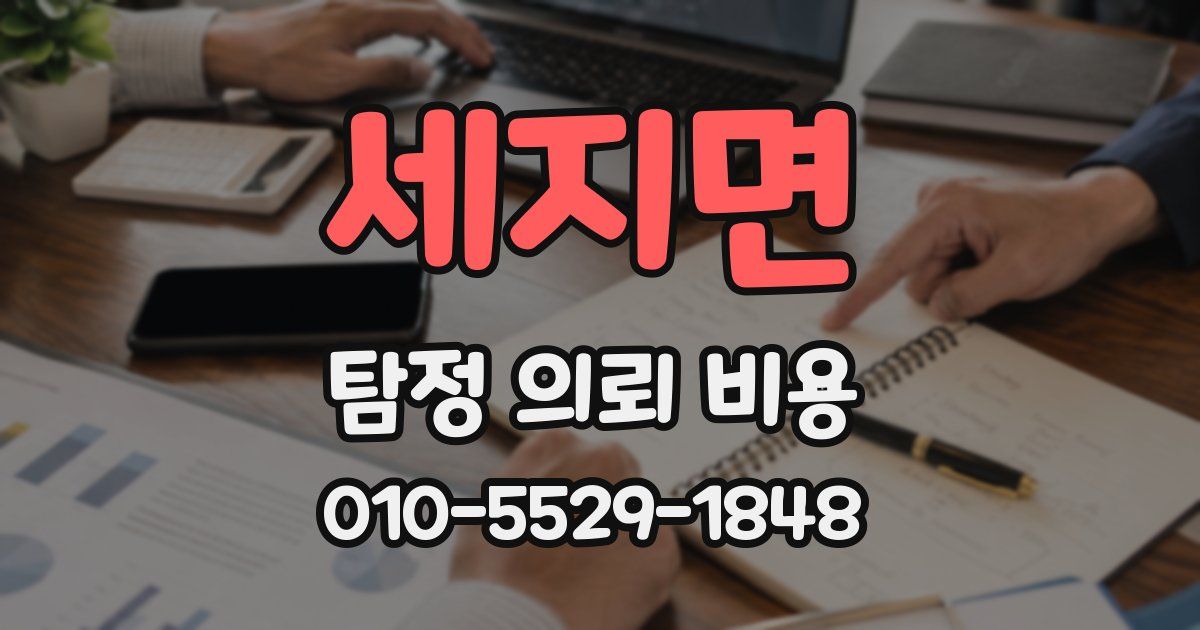 세지면 탐정 의뢰 비용