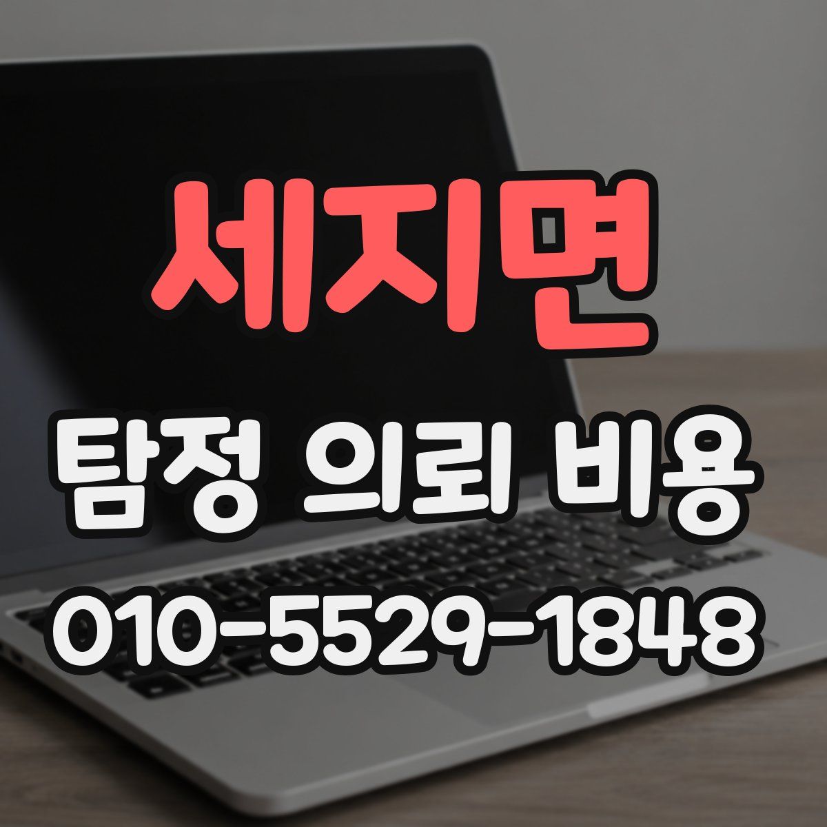 세지면 탐정 의뢰 비용