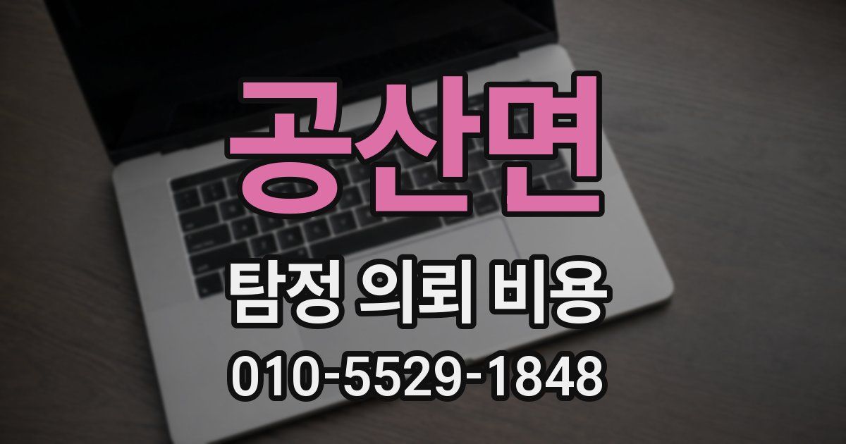 공산면 탐정 의뢰 비용