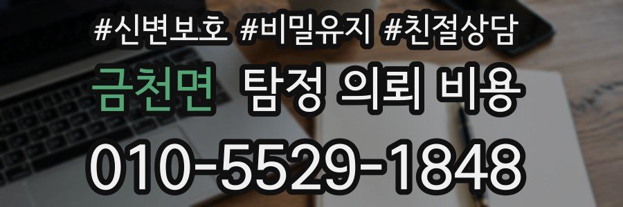 금천면 탐정 의뢰 비용