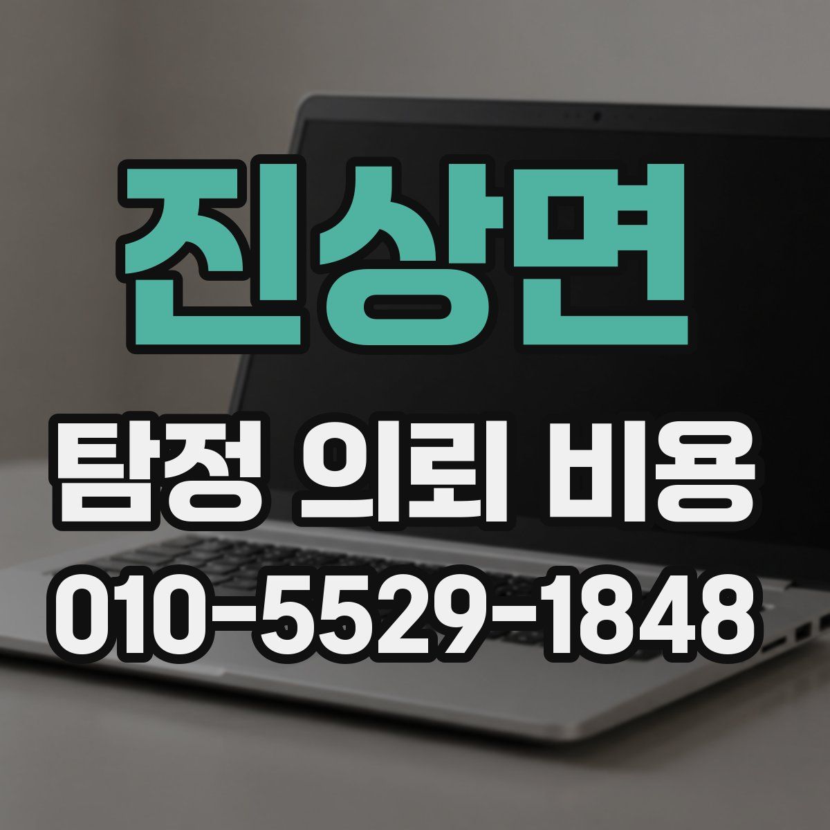 진상면 탐정 의뢰 비용