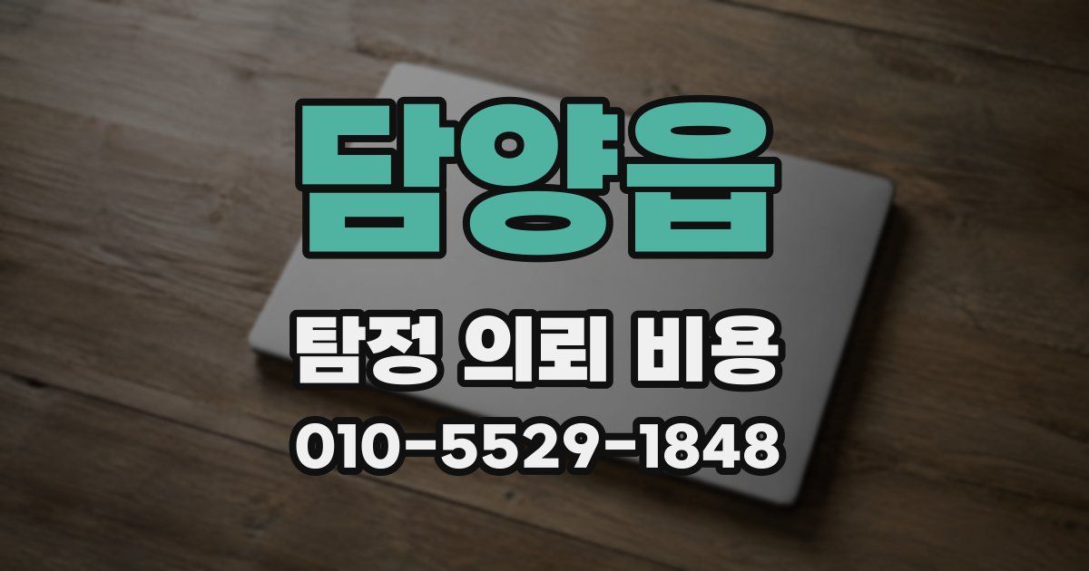 담양읍 탐정 의뢰 비용