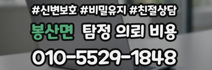 봉산면 탐정 의뢰 비용