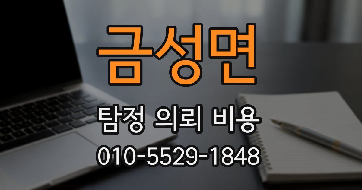 금성면 탐정 의뢰 비용