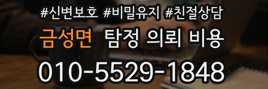 금성면 탐정 의뢰 비용