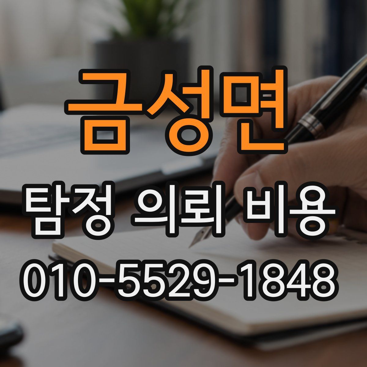 금성면 탐정 의뢰 비용