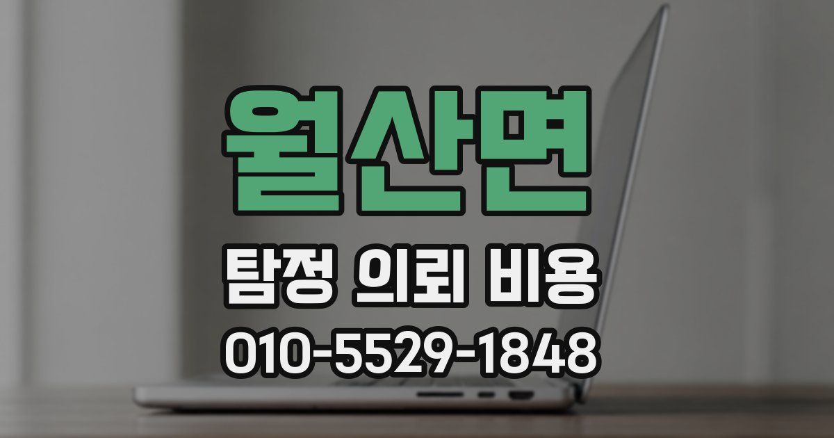 월산면 탐정 의뢰 비용