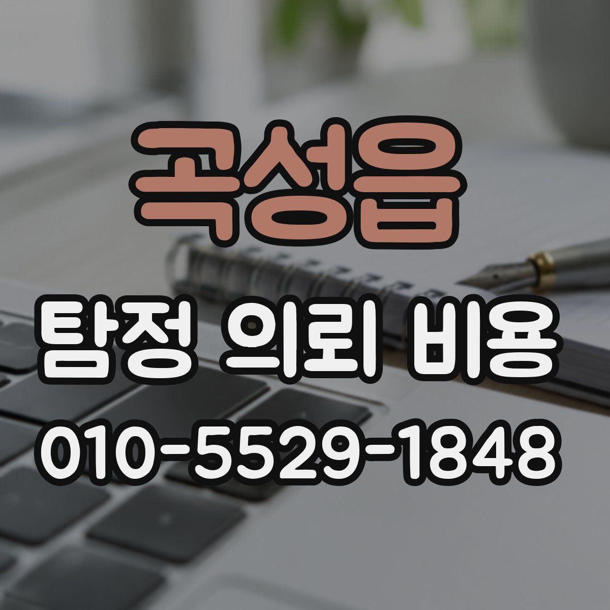 곡성읍 탐정 의뢰 비용