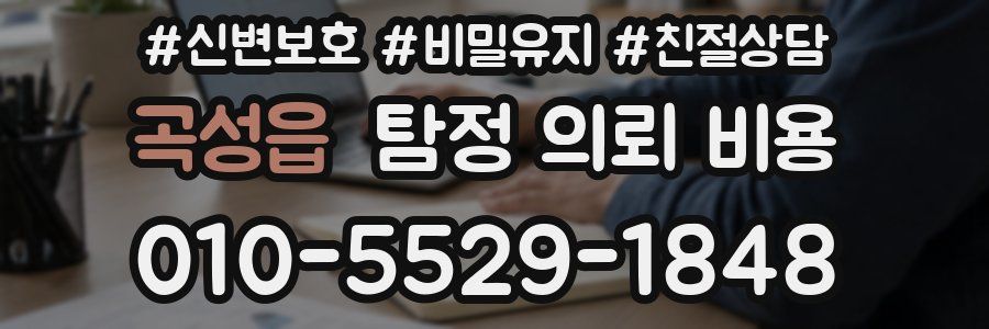 곡성읍 탐정 의뢰 비용