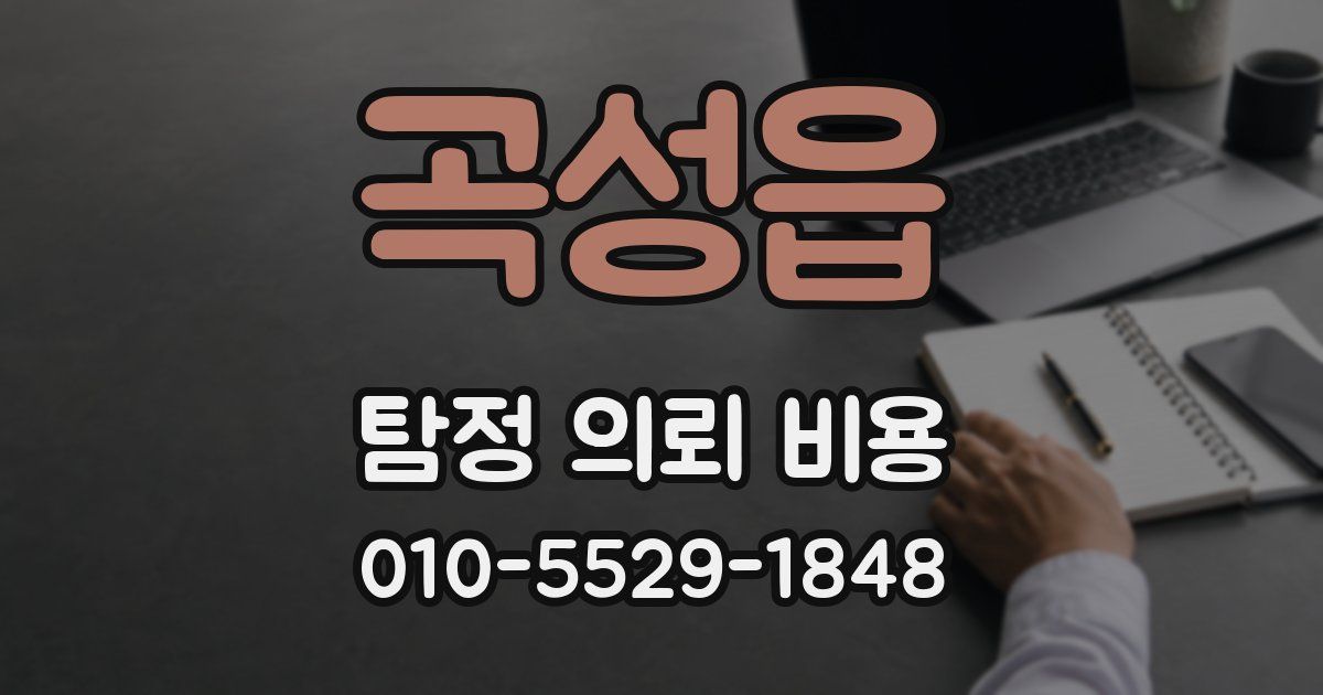 곡성읍 탐정 의뢰 비용